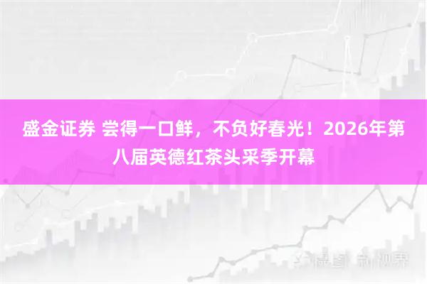 盛金证券 尝得一口鲜，不负好春光！2026年第八届英德红茶头采季开幕