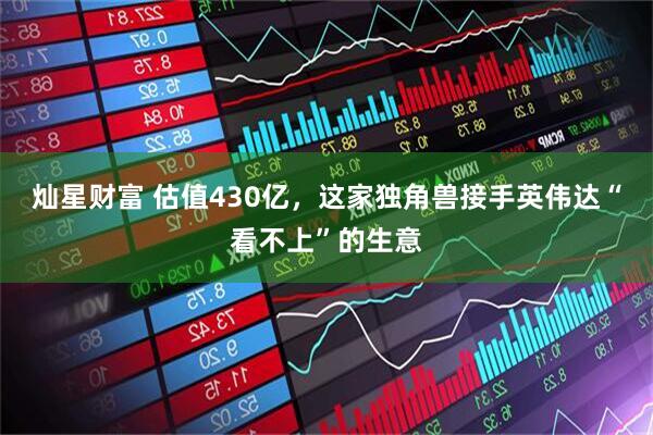 灿星财富 估值430亿，这家独角兽接手英伟达“看不上”的生意