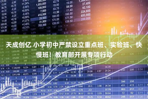 天成创亿 小学初中严禁设立重点班、实验班、快慢班！教育部开展专项行动